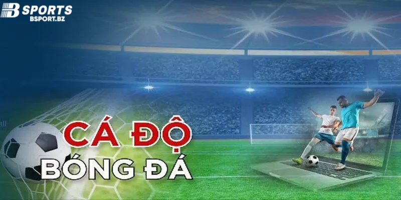 Các loại kèo cá độ bóng cỏ phổ biến