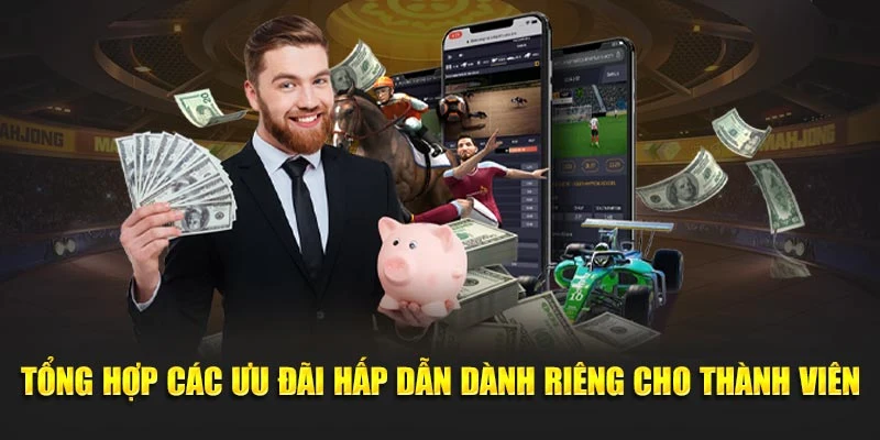 Tổng hợp các ưu đãi hấp dẫn dành riêng cho thành viên